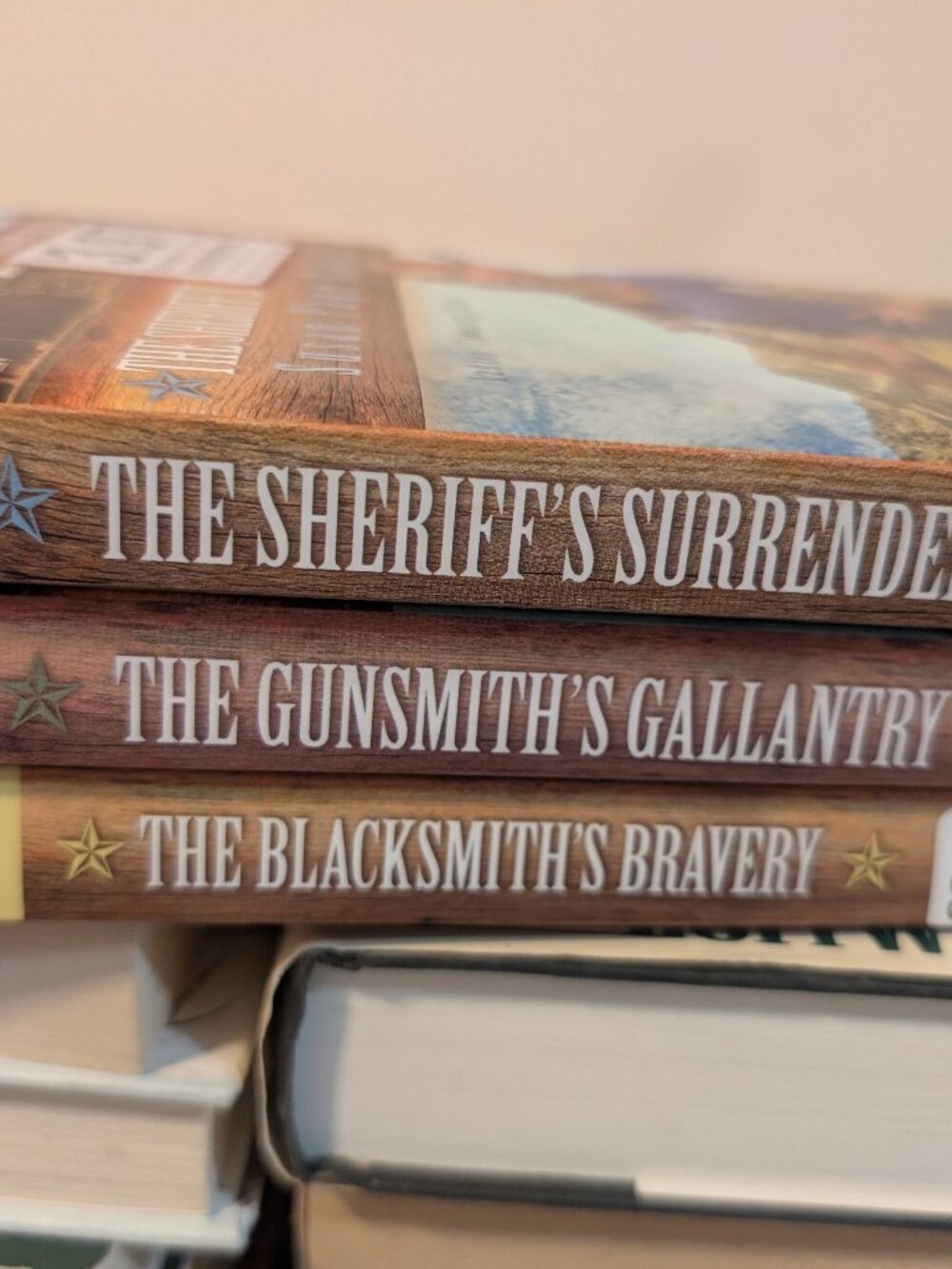 Book Series "Ladies Shooting Club"